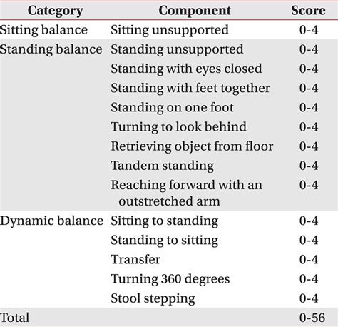 berg balance scale interpretation